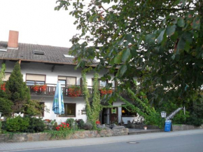 Landgasthof Brunnenwirt Zum Meenzer